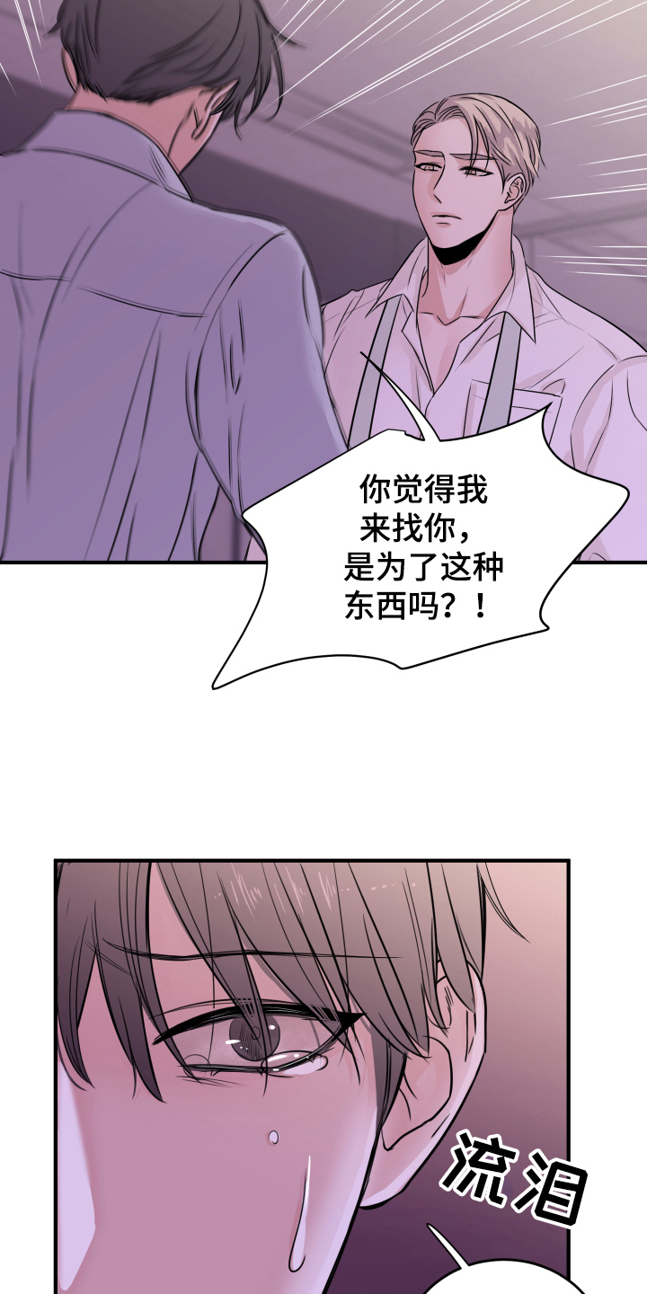 《复仇恋情》第8章生气 第15页