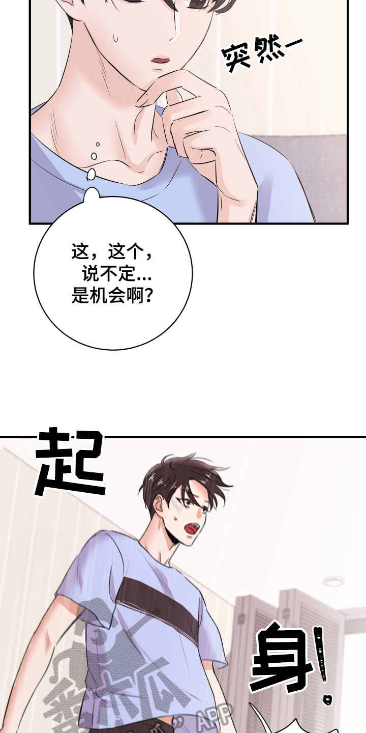 《复仇恋情》第12章计划 第12页