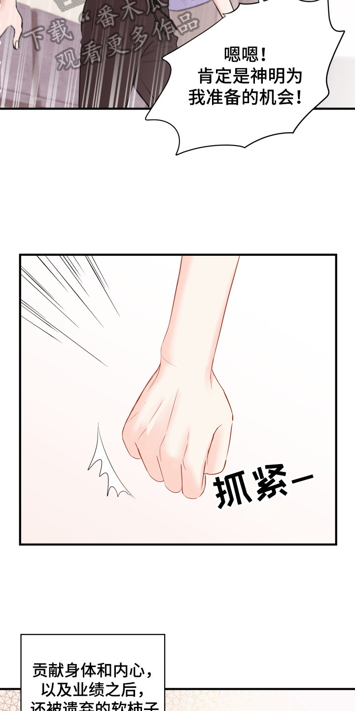 《复仇恋情》第12章计划 第13页