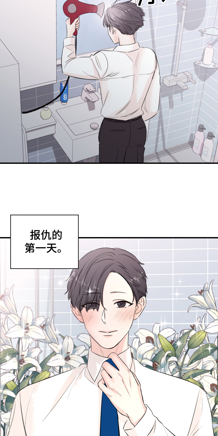 《复仇恋情》第12章计划 第16页