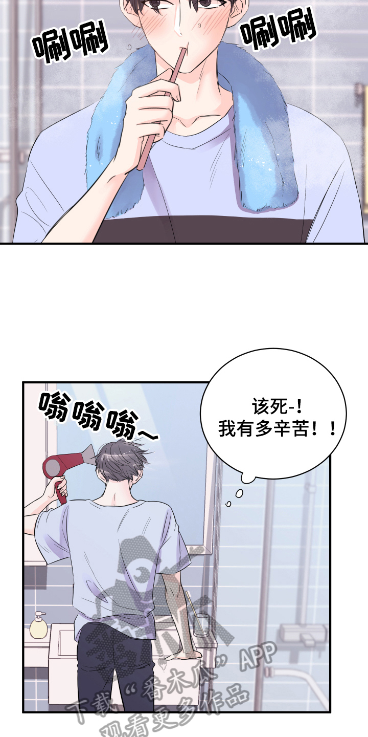 《复仇恋情》第12章计划 第5页
