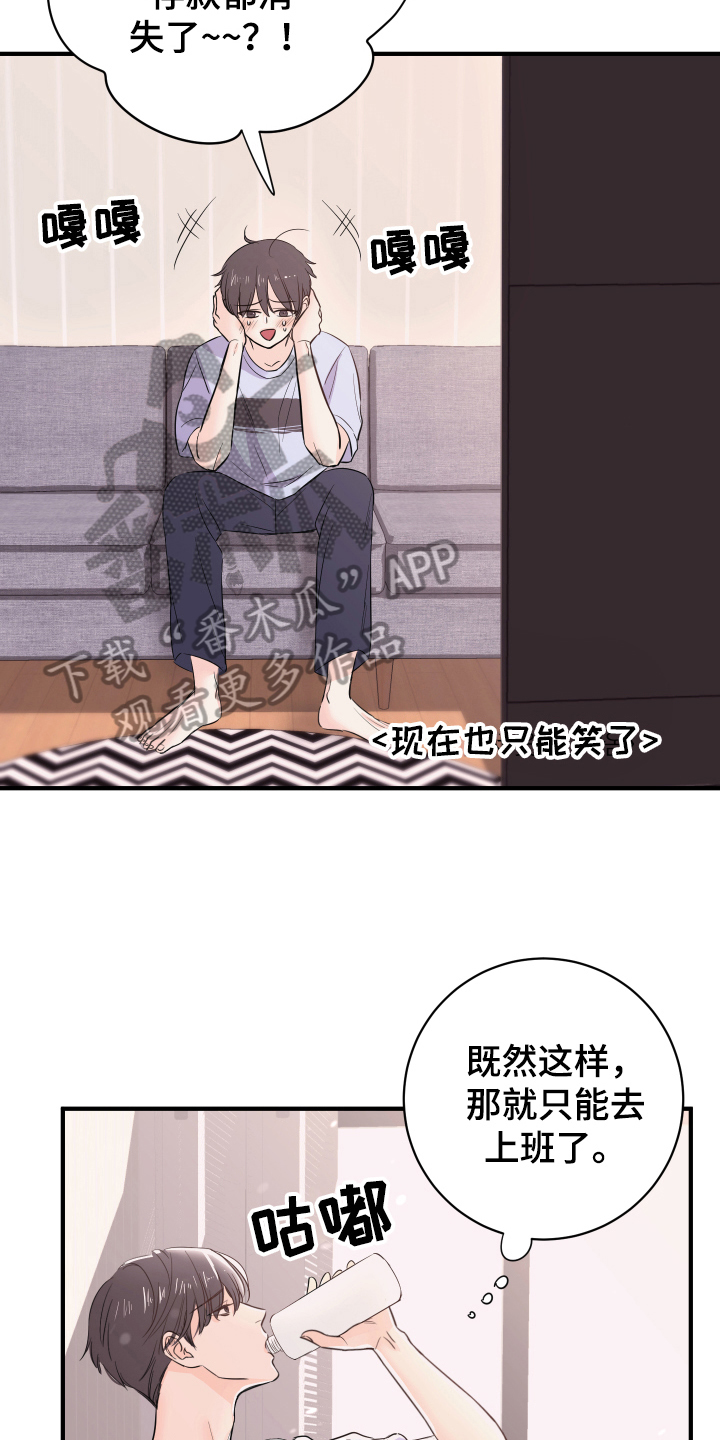 《复仇恋情》第12章计划 第8页