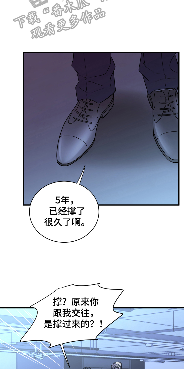 《复仇恋情》第6章分手 第10页