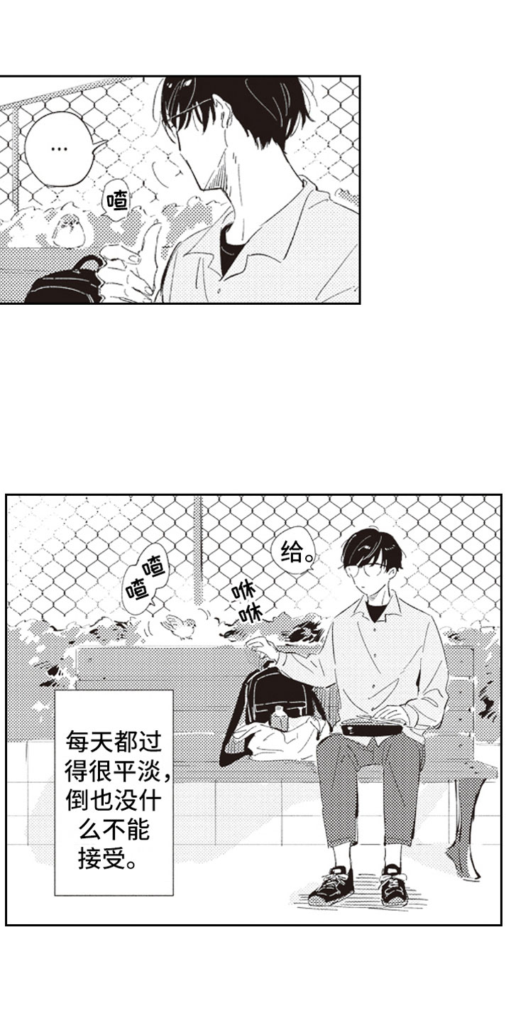 《牛皮糖》第1章假装男友 第5页
