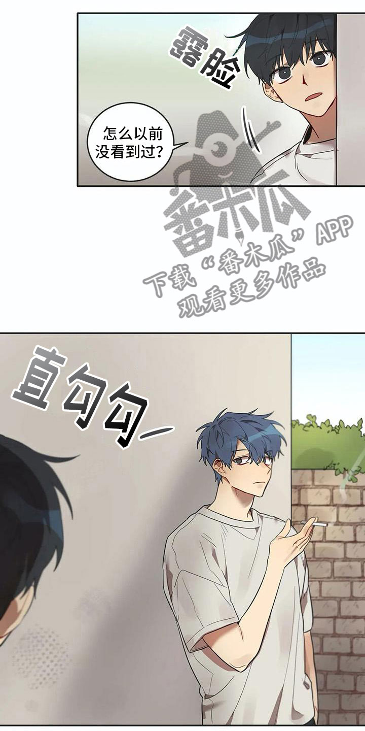 《互换诅咒》第14章墙角 第10页