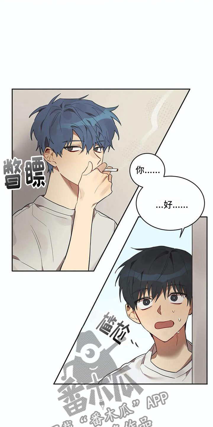 《互换诅咒》第14章墙角 第11页
