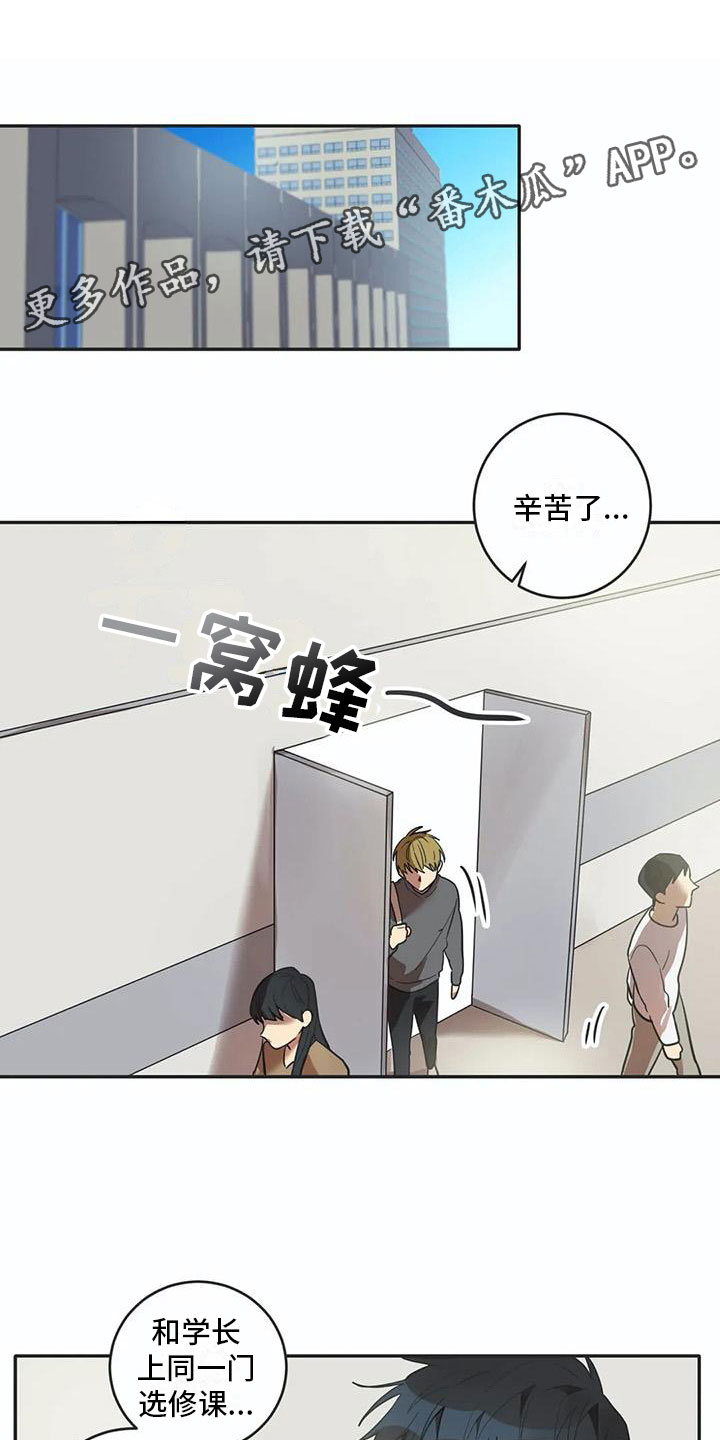 《互换诅咒》第14章墙角 第1页