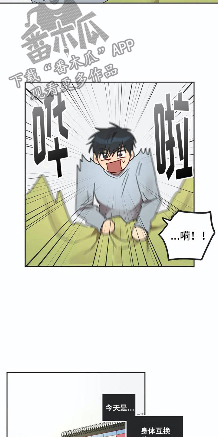 《互换诅咒》第17章诅咒解除 第11页