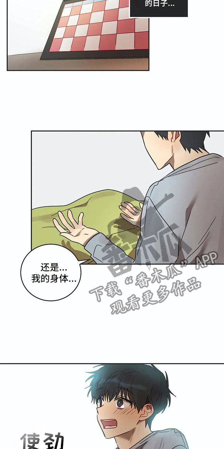 《互换诅咒》第17章诅咒解除 第12页