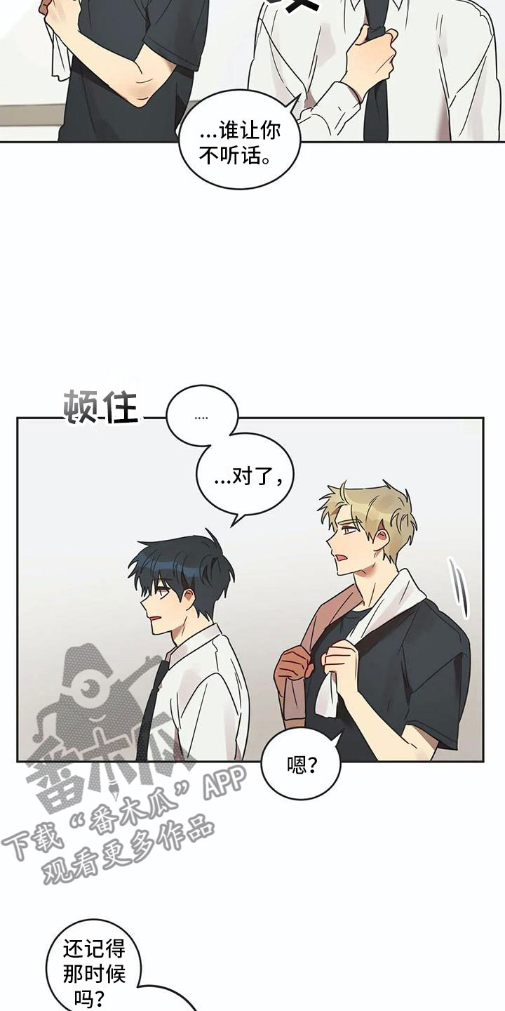 《互换诅咒》第17章诅咒解除 第19页