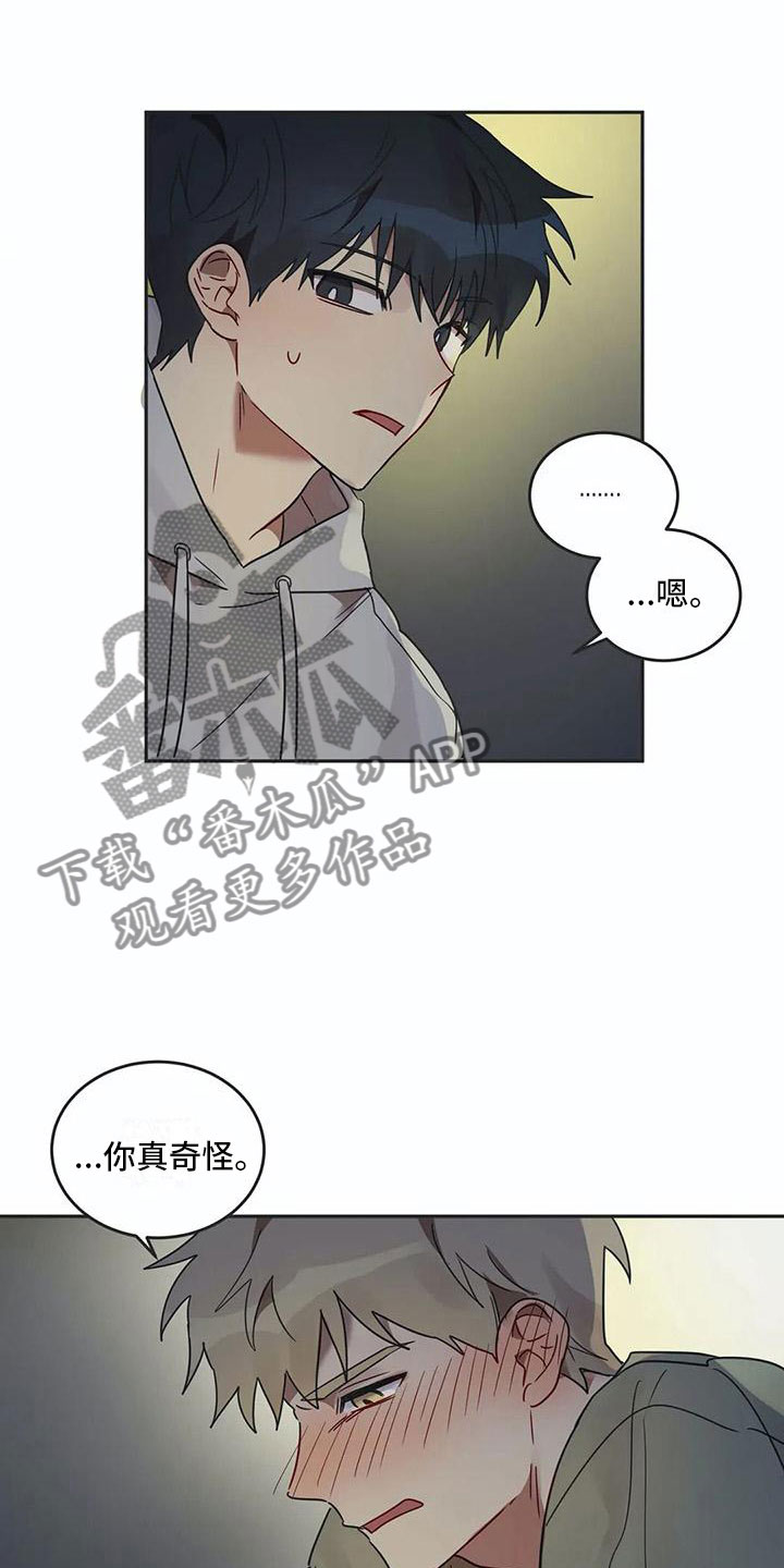 《互换诅咒》第17章诅咒解除 第1页