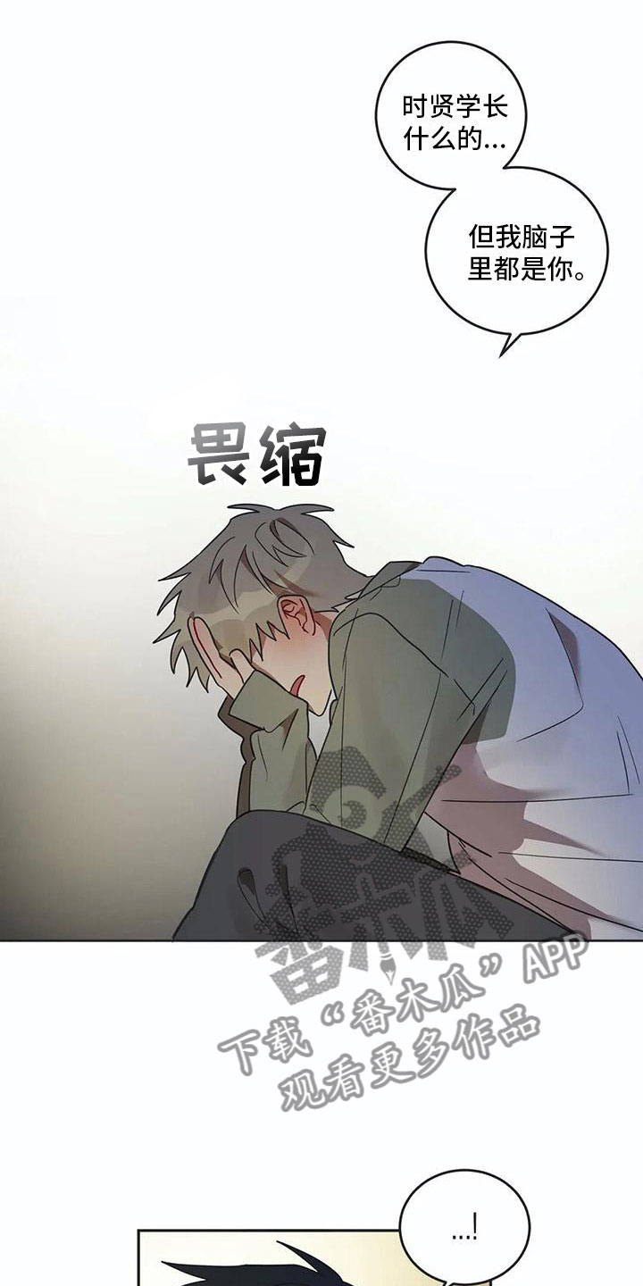 《互换诅咒》第17章诅咒解除 第3页