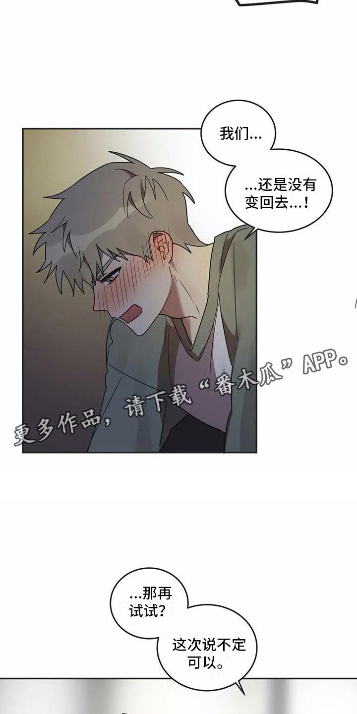 《互换诅咒》第17章诅咒解除 第5页