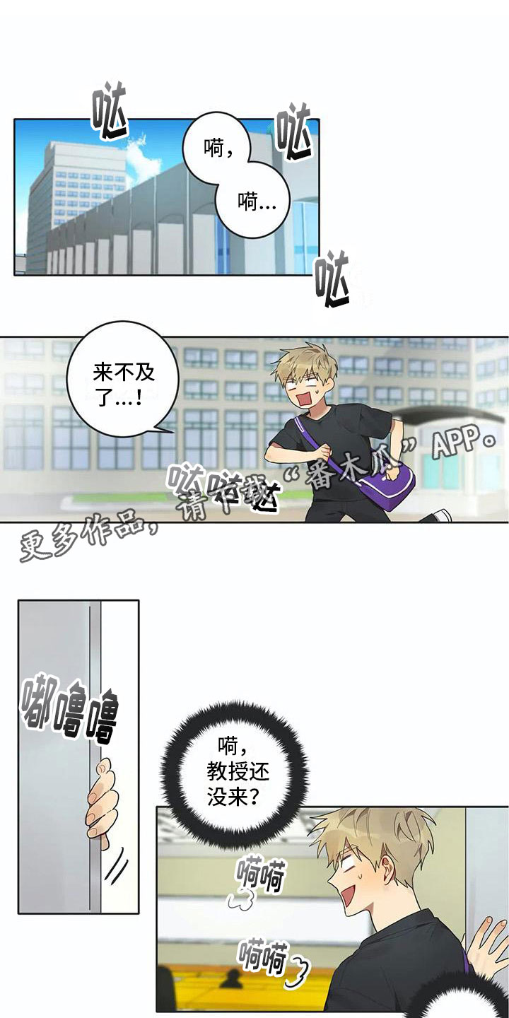 《互换诅咒》第10章被拆穿 第1页