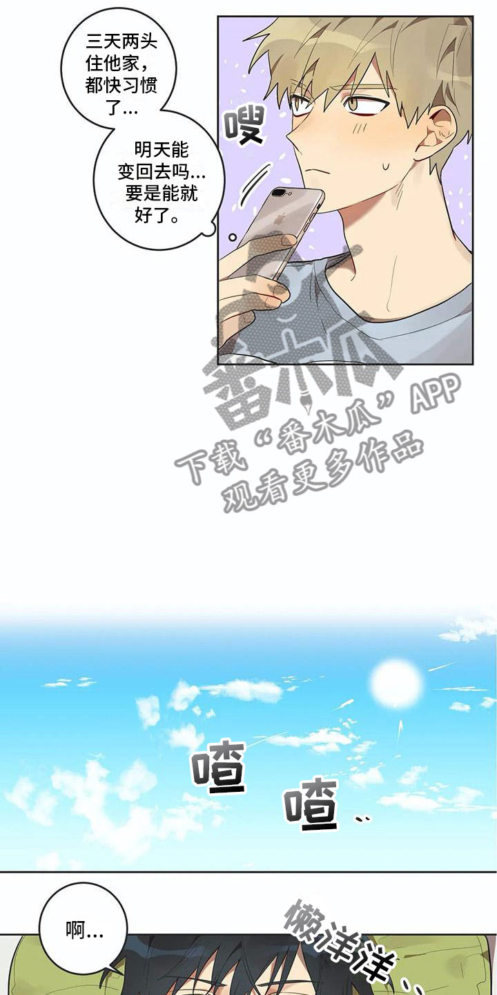 《互换诅咒》第10章被拆穿 第5页