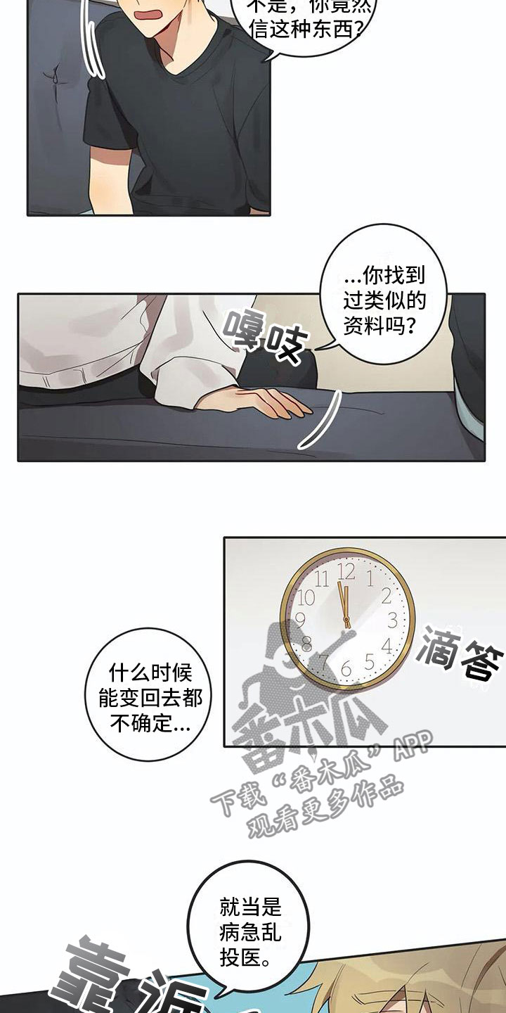 《互换诅咒》第6章爱 第10页