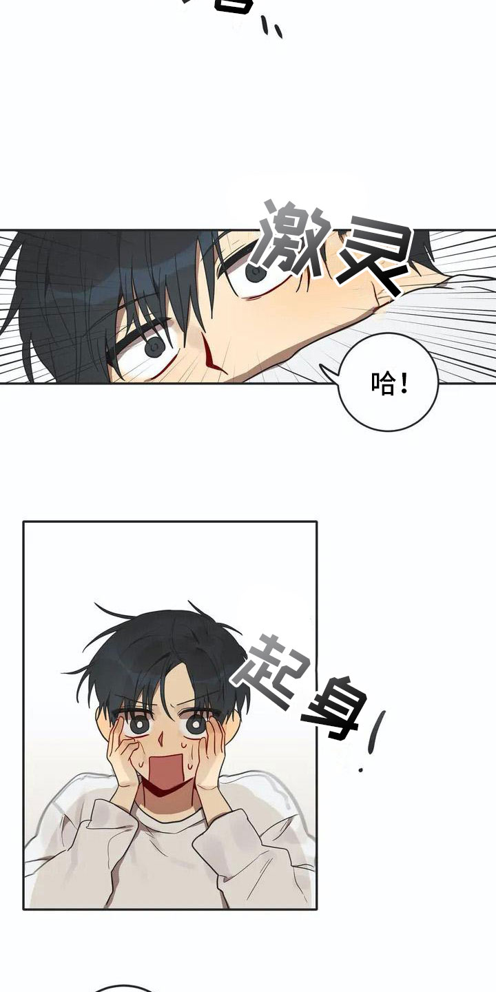 《互换诅咒》第3章回归 第20页