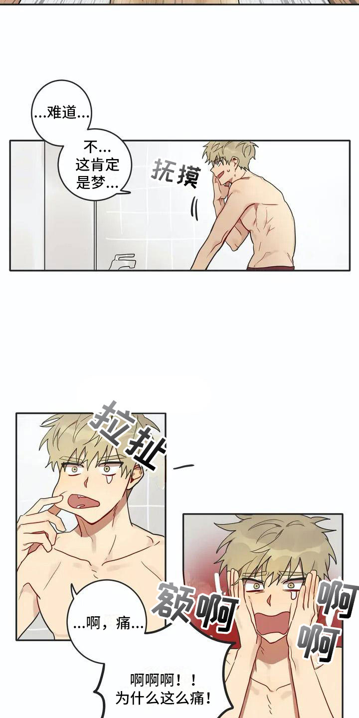 《互换诅咒》第3章回归 第2页