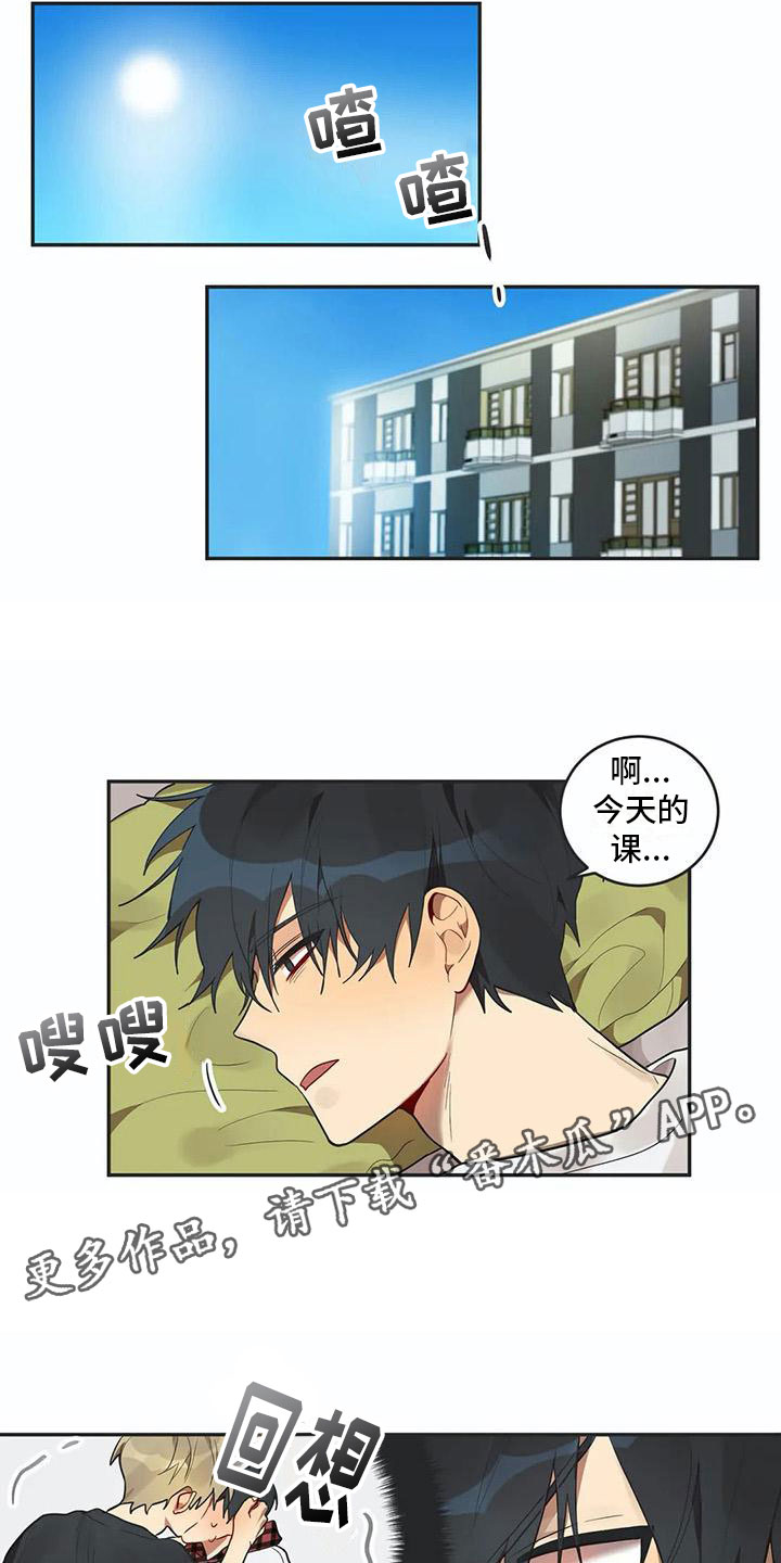 《互换诅咒》第7章吻 第10页