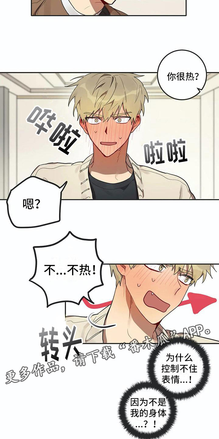 《互换诅咒》第5章关键信息 第16页