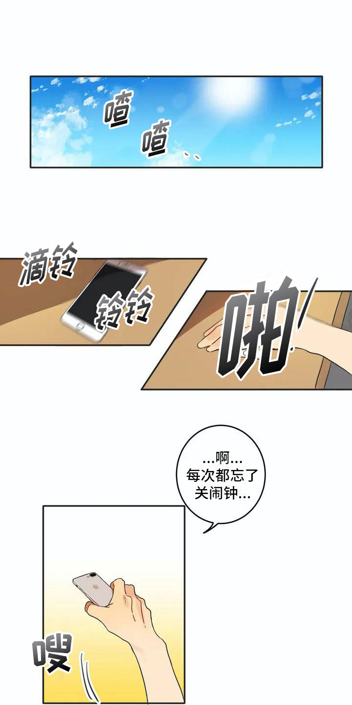 《互换诅咒》第2章换脸 第13页