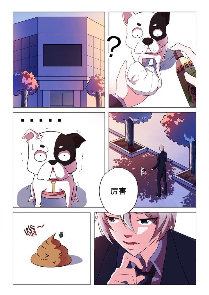《颜与容》第33章巧合 第2页