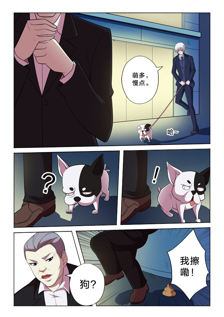 《颜与容》第33章巧合 第6页