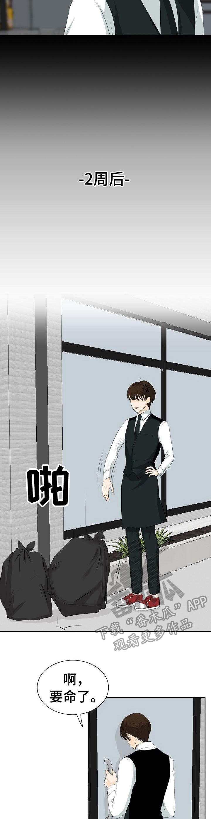 《酒吧轶事》第28章火药味 第5页