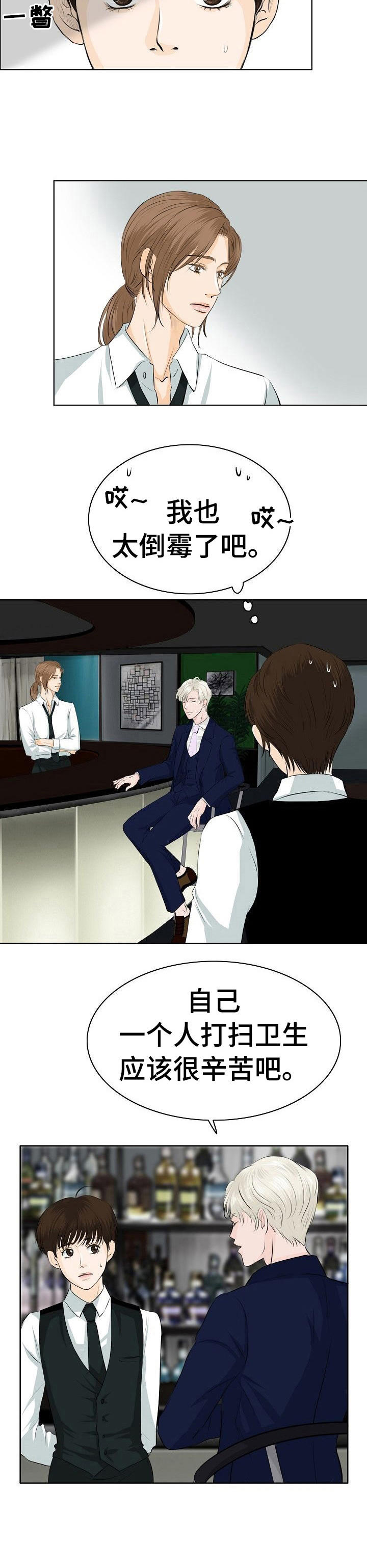 《酒吧轶事》第11章调酒 第10页