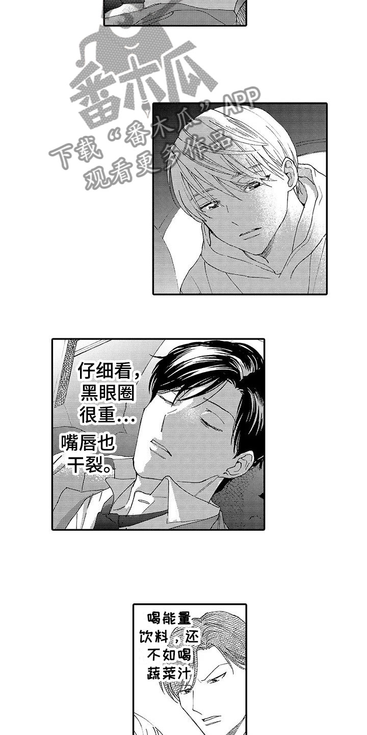 《模特守则》第10章喜欢 第8页