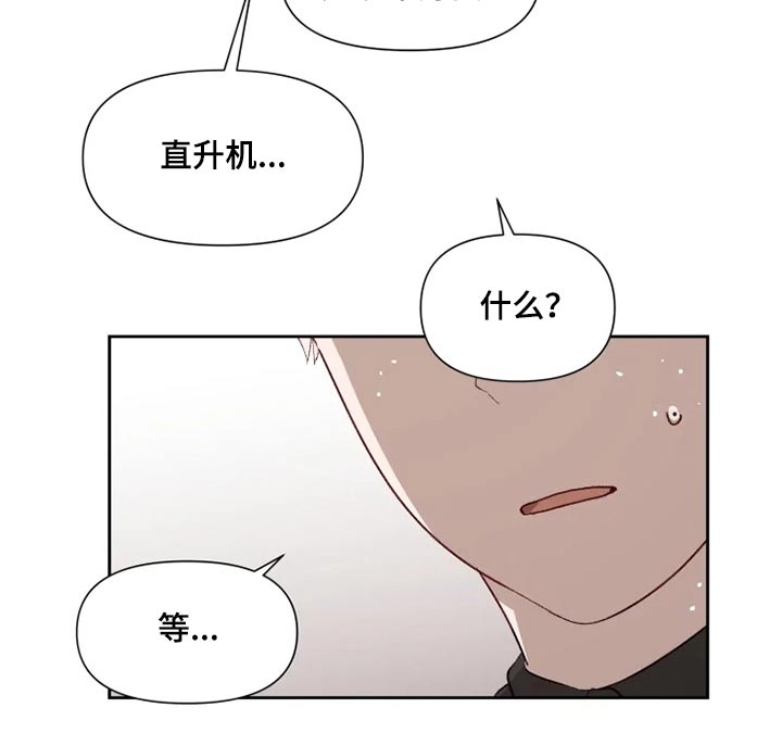 《极道老爹》第57章解救 第15页