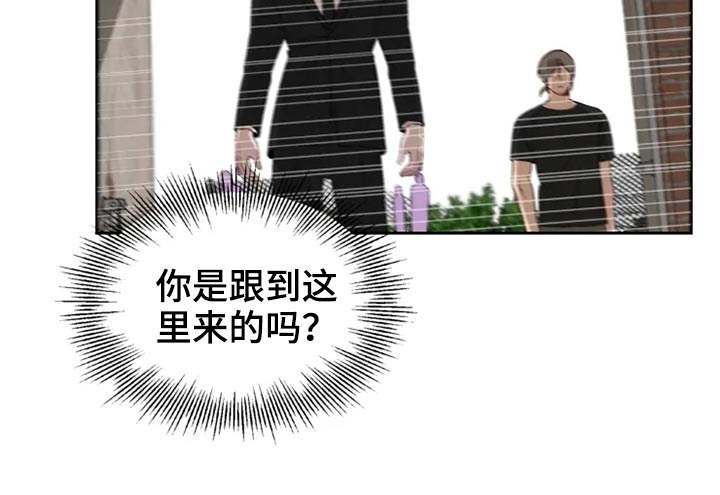 《极道老爹》第57章解救 第2页
