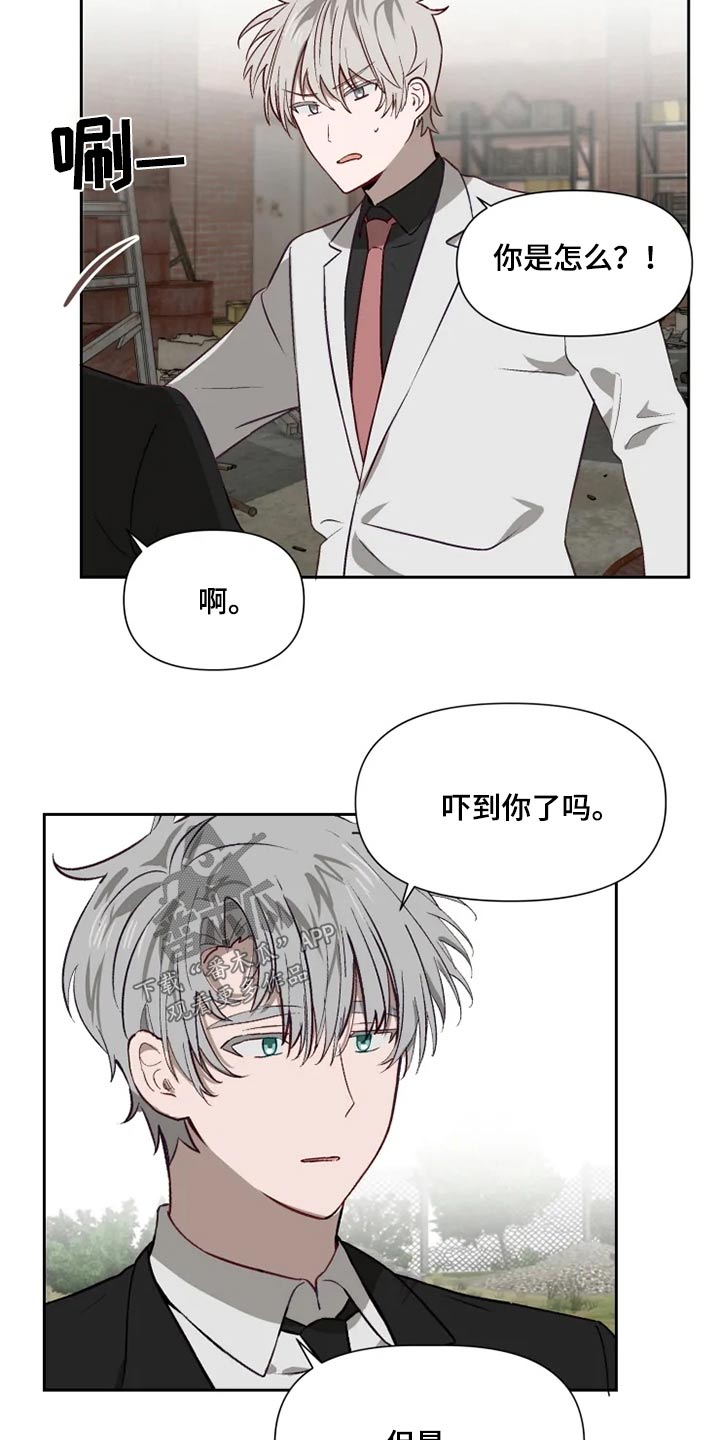 《极道老爹》第56章开抢 第2页