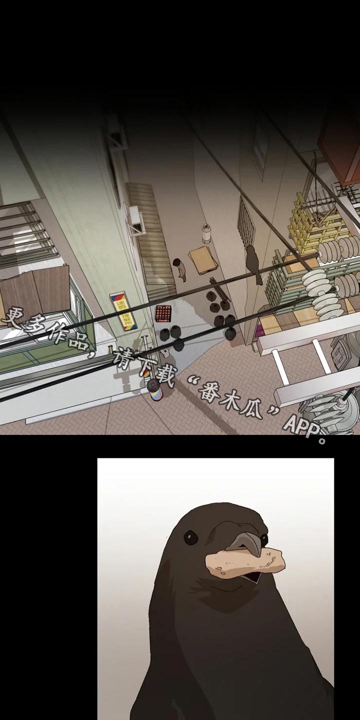 《极道老爹》第50章糟了 第1页