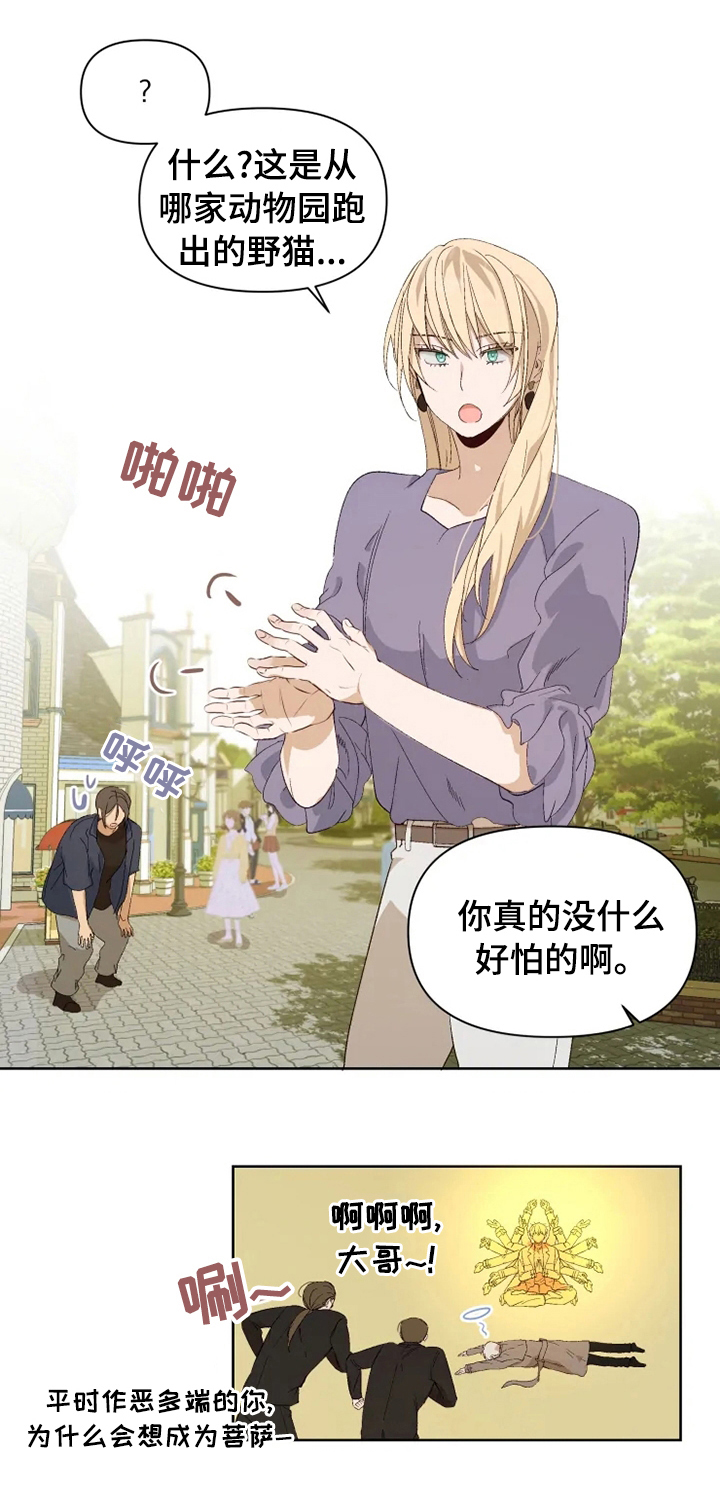 《极道老爹》第26章结论 第7页