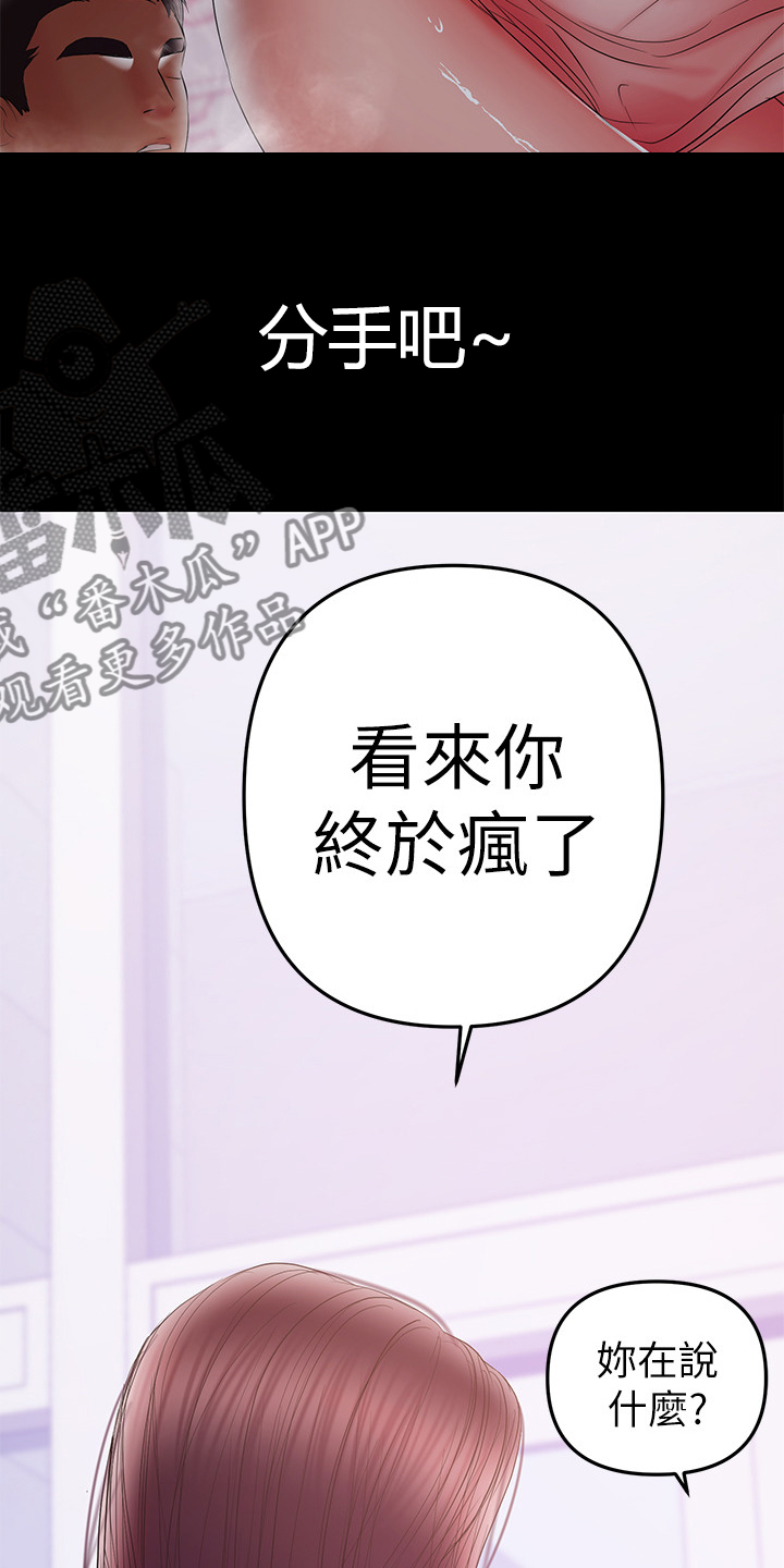 《情感空洞》第85章你终于是疯了 第19页