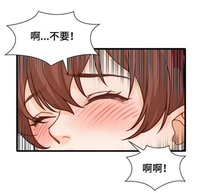 《秘密挟持》第43章结束（完结） 第2页