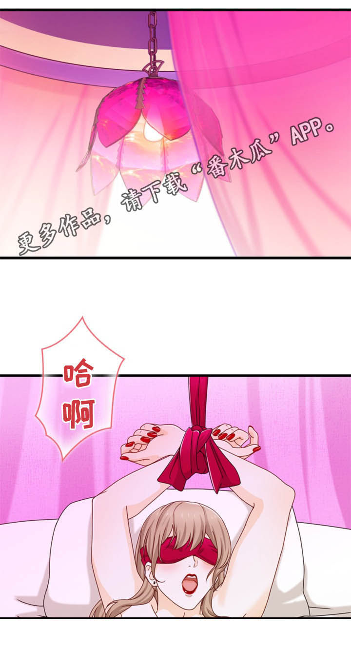 《秘密挟持》第37章新世界 第1页