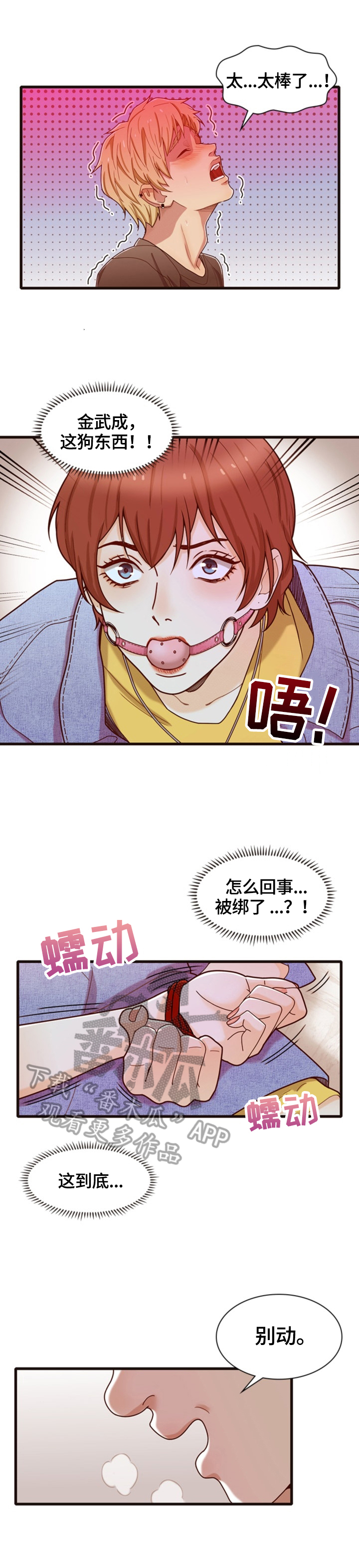 《秘密挟持》第34章迷晕 第5页