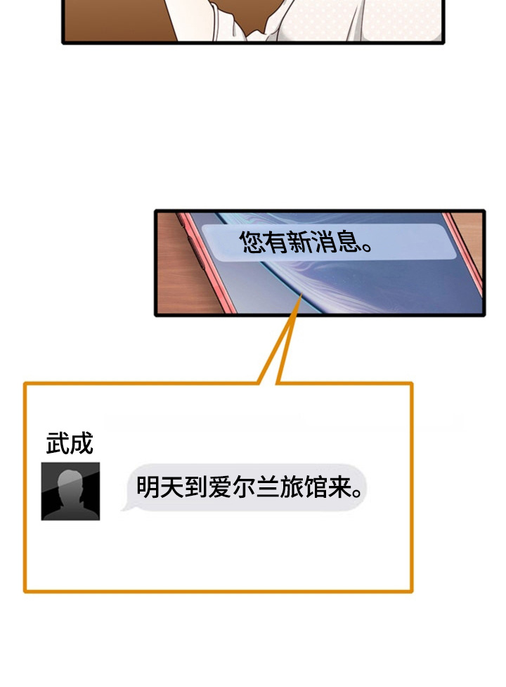 《秘密挟持》第28章谎言 第9页