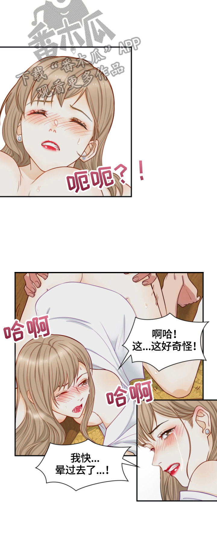 《秘密挟持》第12章崩溃 第3页