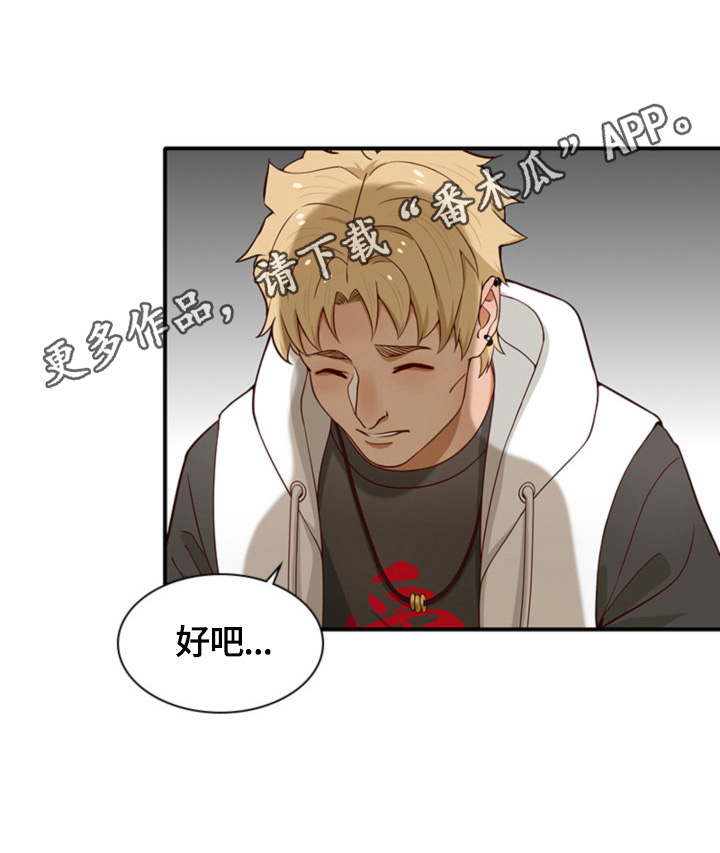 《秘密挟持》第8章惊险 第11页