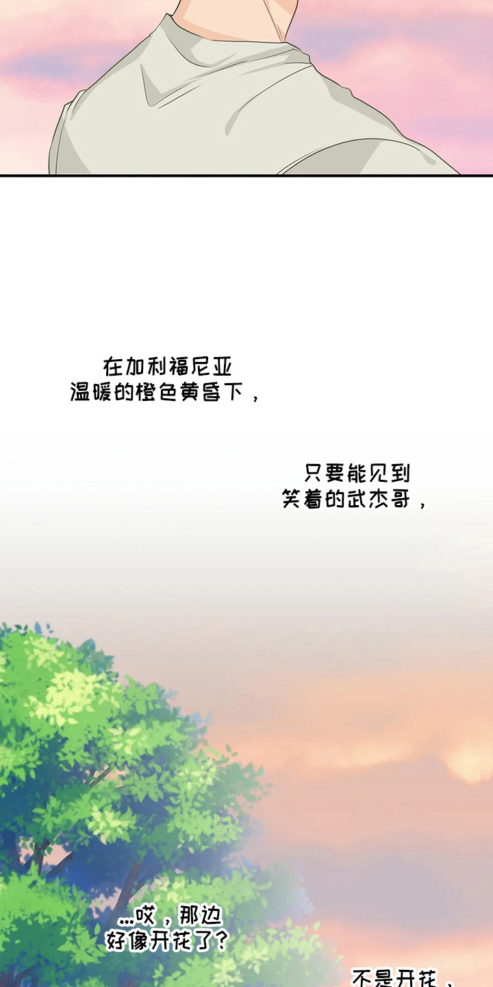 《关注点》第108章【第二季完结】很幸福 第26页