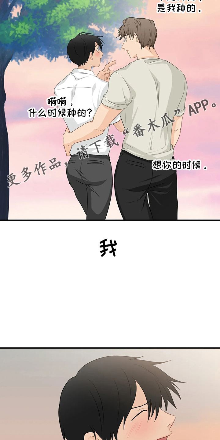 《关注点》第108章【第二季完结】很幸福 第27页