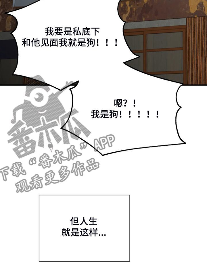 《关注点》第91章【第二季】借酒消愁 第15页