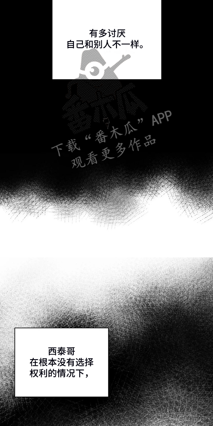 《关注点》第93章【第二季】别埋怨他 第3页