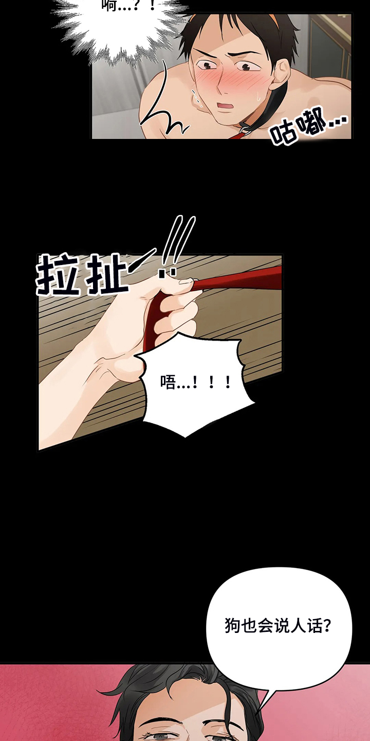 《关注点》第79章【第二季】现实遇见主人 第2页