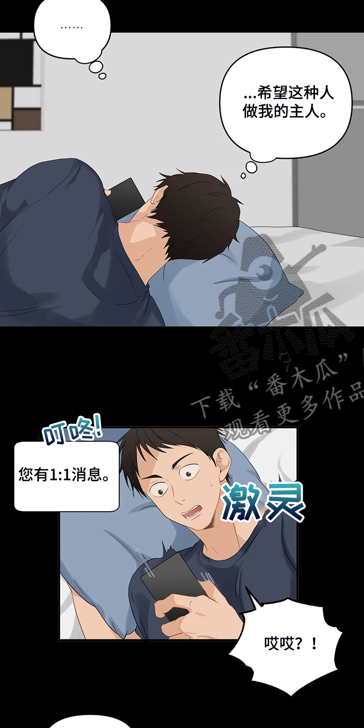 《关注点》第78章【第二季】今日任务 第12页