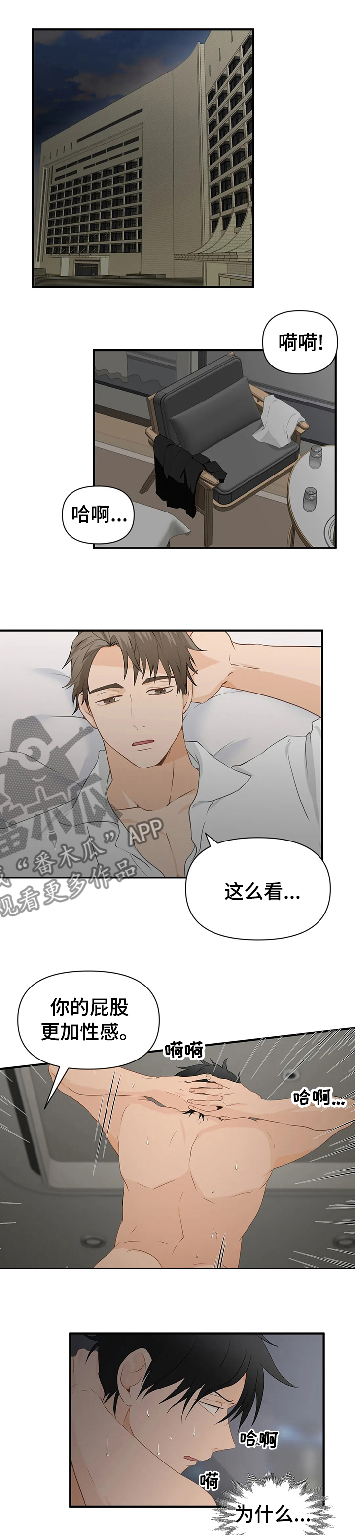 《关注点》第29章贵有贵的道理 第1页