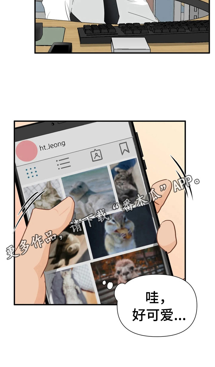 《关注点》第15章培训 第12页